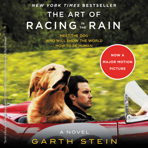 The Art of Racing in the Rain, Garth Stein