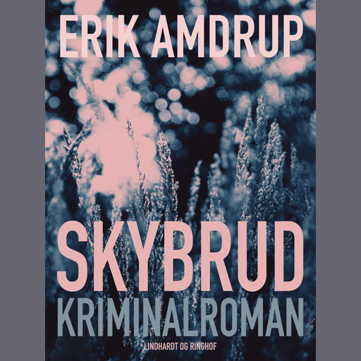 Skybrud, Erik Amdrup