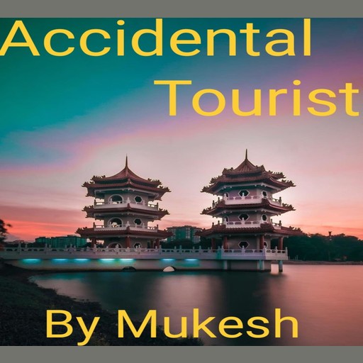 Accidental Tourist, Mukesh Kumar