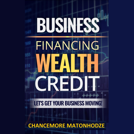 Business Financing, Wealth, Credit, Chancemore Matonhodze