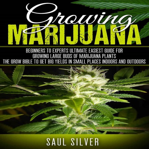 Marijuana : Growing Marijuana, Saul Silver