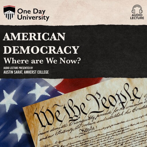 American Democracy, Austin Sarat