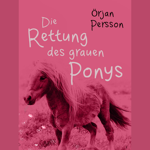 Die Rettung des grauen Ponys, Örjan Persson