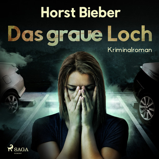 Das graue Loch - Kriminalroman, Horst Bieber