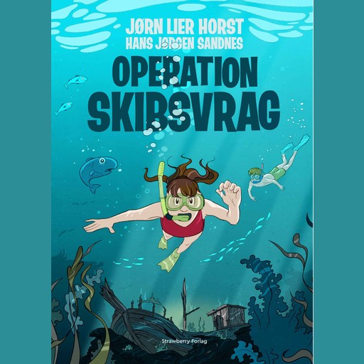 Operation Skibsvrag, Jørn Lier Horst