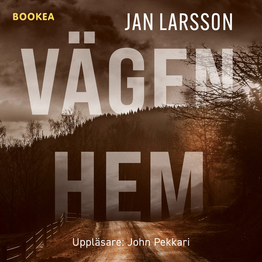 Vägen hem, Jan Larsson