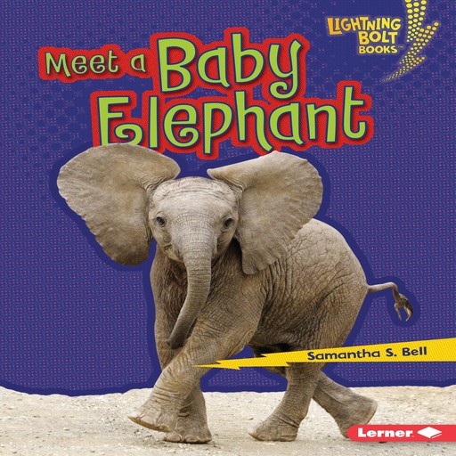 Meet a Baby Elephant, Samantha Bell