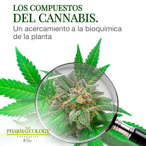 Los compuestos del cannabis, Pharmacology University