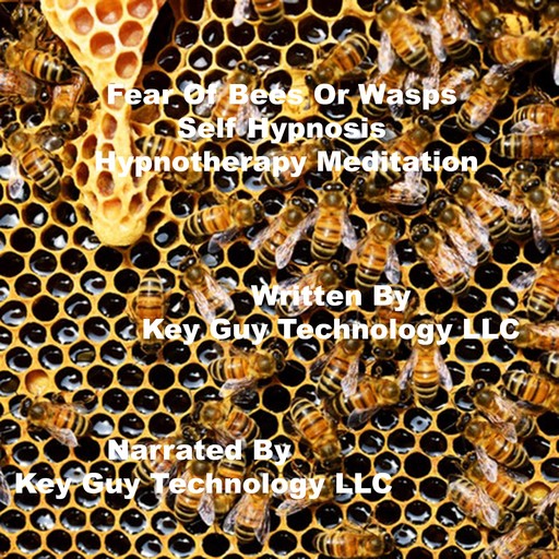 Fear Of Bees Self Hypnosis Hypnotherapy Meditation, Key Guy Technology LLC