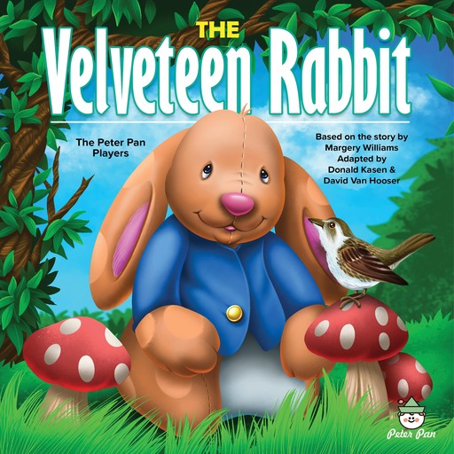 The Velveteen Rabbit, Margery Williams, Donald Kasen, David VanHooser