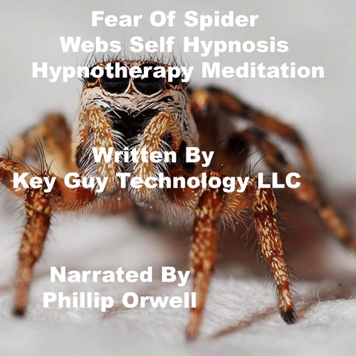 Fear Of Spider Webs Self Hypnosis Hypnotherapy Meditation, Key Guy Technology LLC