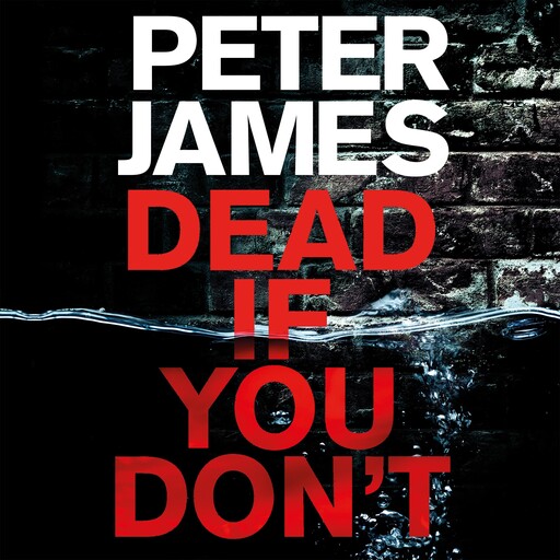 Dead If You Don't, Peter James