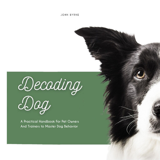 Decoding Dog, John Byrne