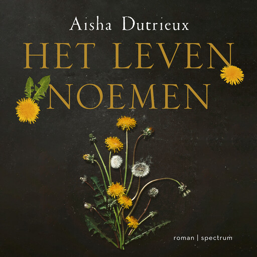 Het leven noemen, Aisha Dutrieux