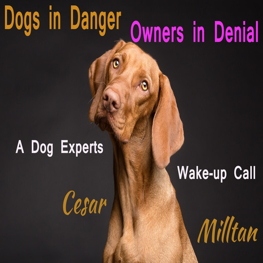 Dogs in Danger - Owners in Denial _ A Dog Expert's Wake-up Call, Cesar Milltan