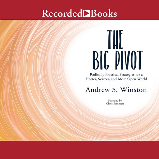 The Big Pivot, Andrew Winston