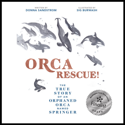 Orca Rescue! The True Story of an Orphaned Orca Named Springer, DONNA SANDSTROM