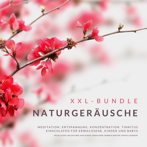 XXL-Bundle: Naturgeräusche, Institut für Entspannungstechniken