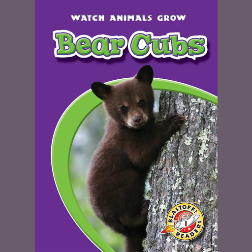 Bear Cubs, Anne Wendorff
