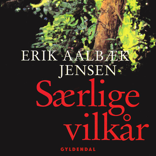 Særlige vilkår, Erik Jensen