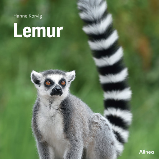 Lemur, Grøn Fagklub, Hanne Korvig