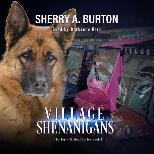 Village Shenanigans, Sherry A. Burton