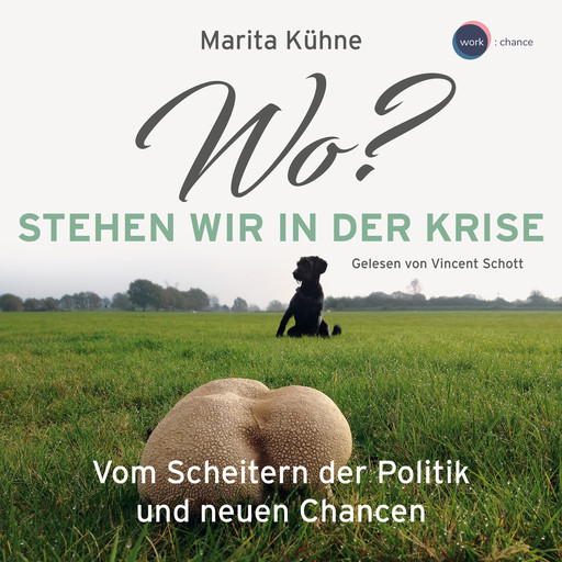 Wo? Stehen wir in der Kris - Vom Scheitern der Politik und neuen Chancen (ungekürzt), Marita Kühne