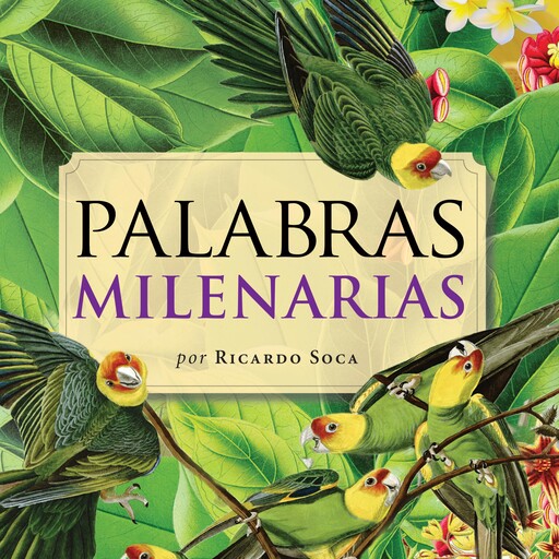 Palabras milenarias, Ricardo Soca