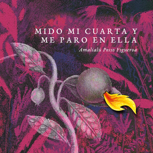 Mido mi cuarta y me paro en ella, Amalialú Posso Figueroa