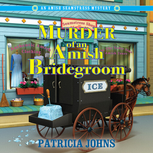Murder of an Amish Bridegroom, Patricia Johns