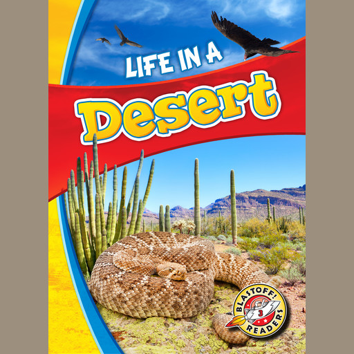 Life in a Desert, Kari Schuetz