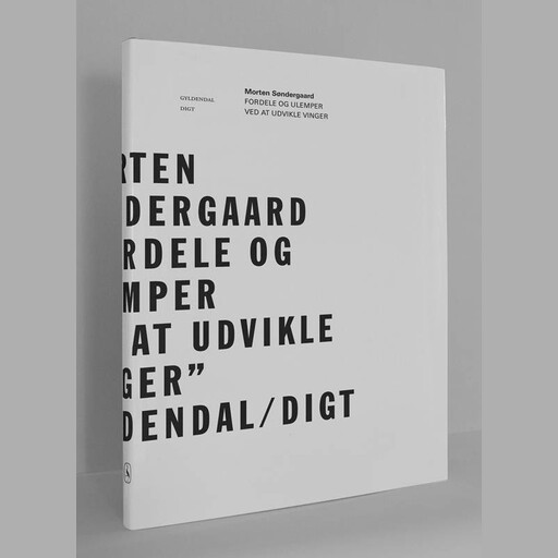 Fordele og ulemper ved at udvikle vinger, Morten Søndergaard