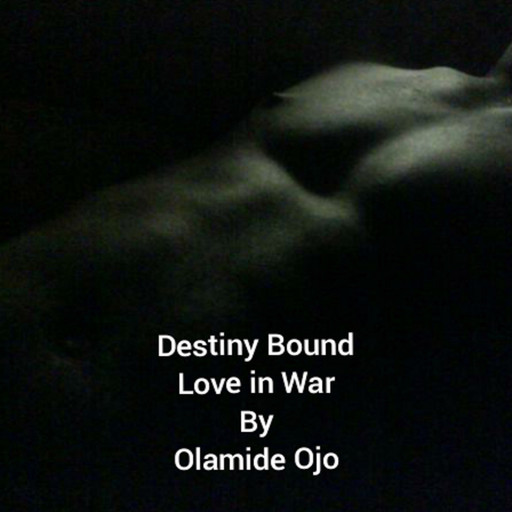 Destiny Bound, Olamide Ojo
