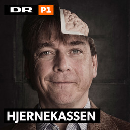»Podcast: Hjernekassen« – en boghylde, DR