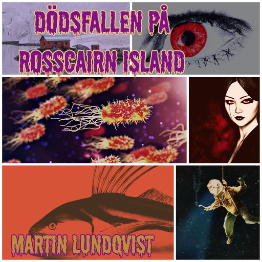 Dödsfallen på Rosscain Island, Martin Lundqvist