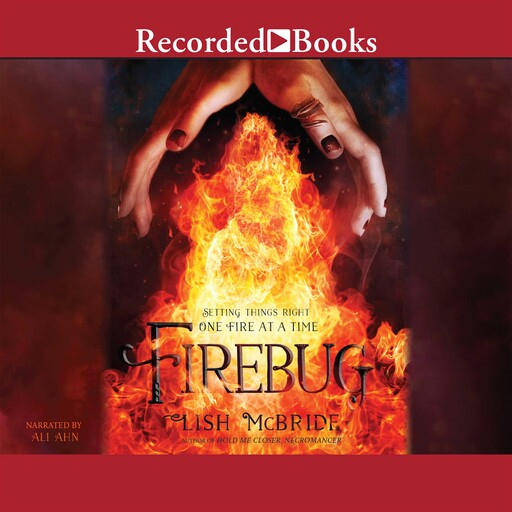 Firebug, Lish McBride