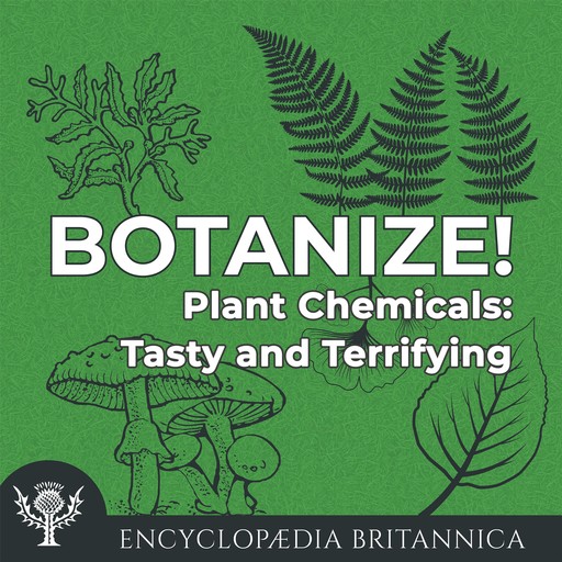Plant Chemicals: Tasty and Terrifying, Melissa Petruzzello