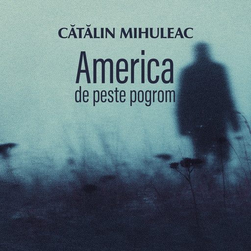 America de peste pogrom, Mihuleac Cătălin