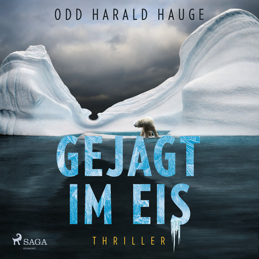 Gejagt im Eis - Thriller, Odd Harald Hauge