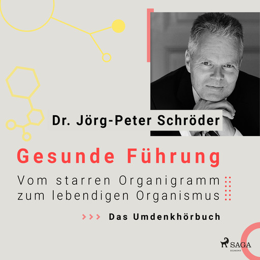 Gesunde Führung - Vom starren Organigramm zum lebendigen Organismus, Jörg-Peter Schröder