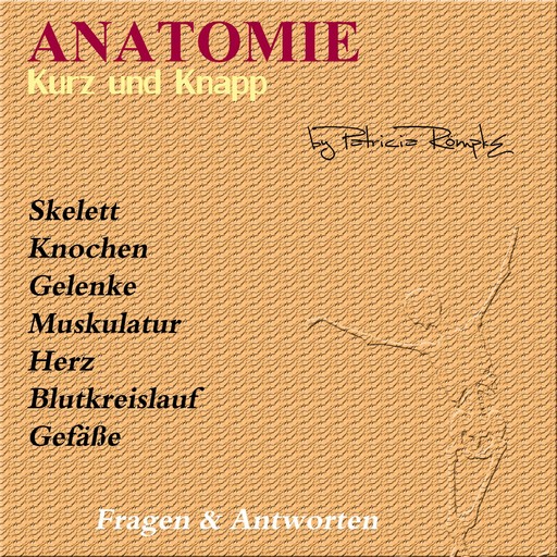 Anatomie kurz und knapp, Patricia Römpke