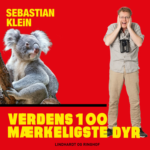 Verdens 100 mærkeligste dyr, Koalabjørnen, Sebastian Klein