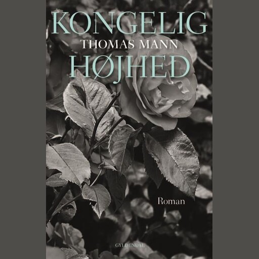 Kongelig Højhed, Thomas Mann