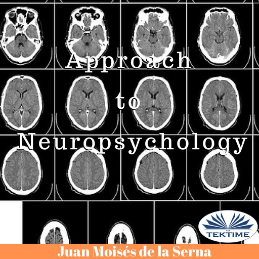 Approach To Neuropsychology, Juan Moisés De La Serna