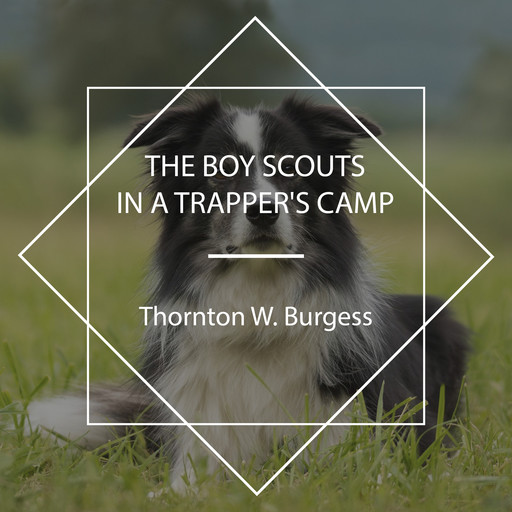 The Boy Scouts in a Trapper's Camp, Thornton W. Burgess