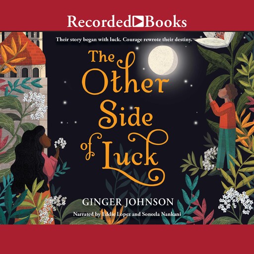 The Other Side of Luck, Ginger Johnson