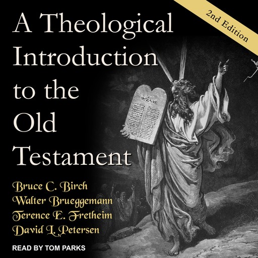A Theological Introduction to the Old Testament, David Petersen, Walter Brueggemann, Bruce C. Birch, Terence E. Fretheim
