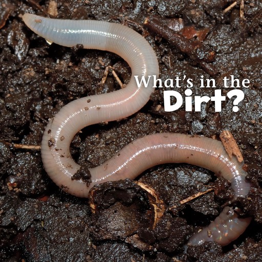 What's in the Dirt?, Martha Rustad