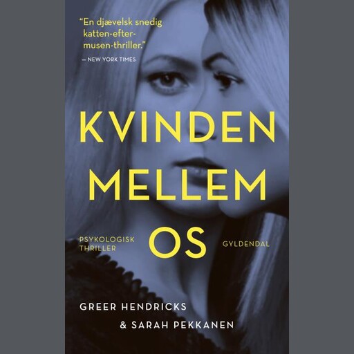 Kvinden mellem os, Greer Hendricks, Sarah Pekkanen