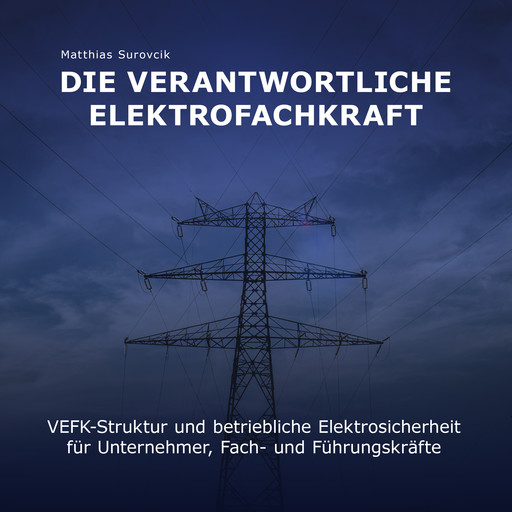 Die Verantwortliche Elektrofachkraft, Matthias Surovcik